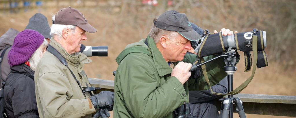 Grupp äldre fågelskådare observerar fåglar med hjälp av tubkikare och kameror från ett fågeltorn. Person i förgrunden tittar genom kikare monterad på stativ.