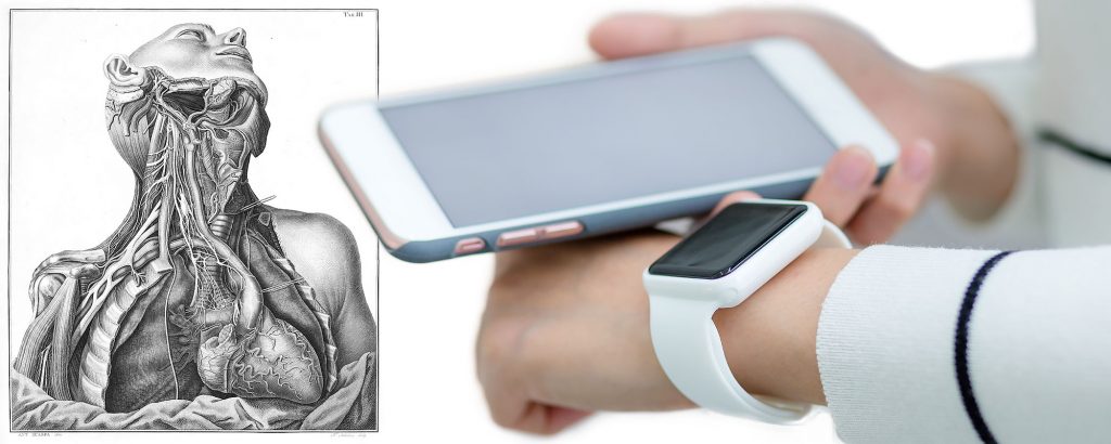 Historisk anatomiteckning av människokroppen kombinerad med modern teknik i form av en smartklocka och mobiltelefon.