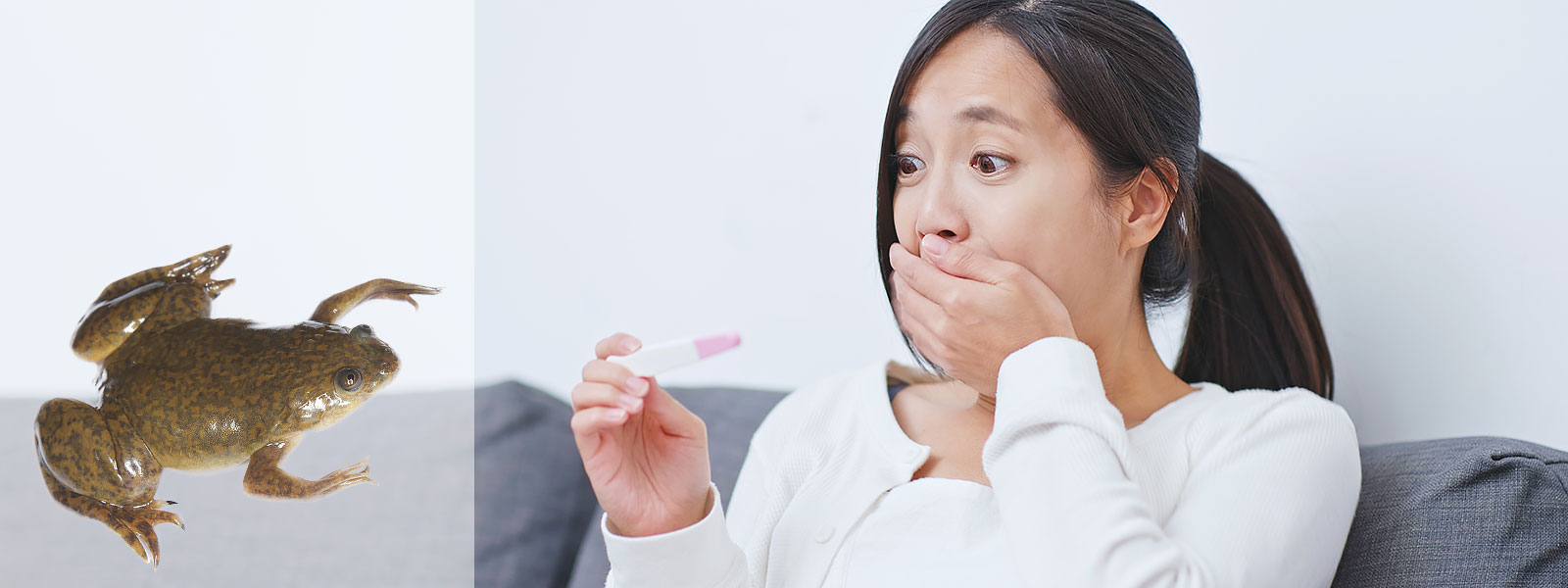 Kvinna med chockad min som tittar på ett positivt graviditetstest, med en klogroda (Xenopus) till vänster – en referens till äldre graviditetstester som använde grodor.