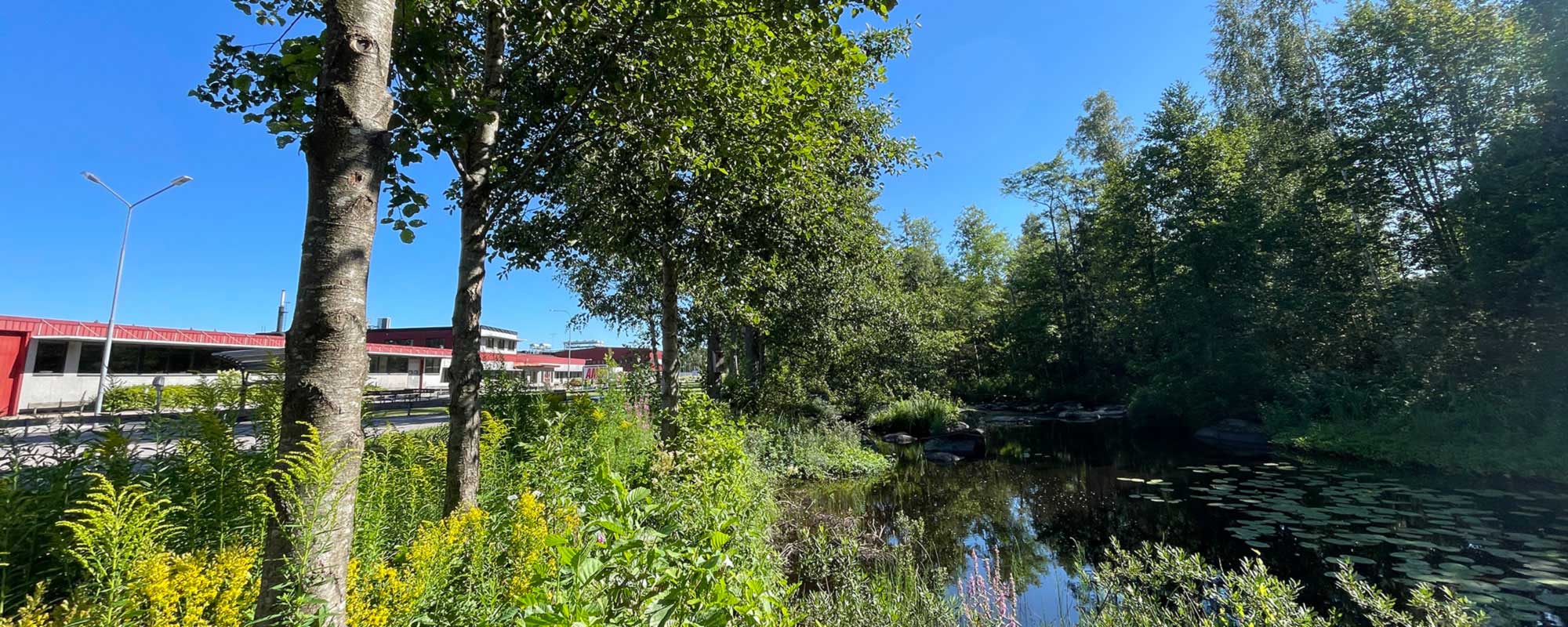 Lyckebyån som rinner förbi utanför AMB:s anläggning, omgiven av grönska och träd under en klarblå sommarhimmel.